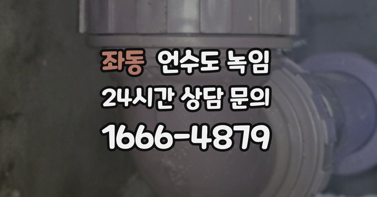 좌동 언수도 녹임