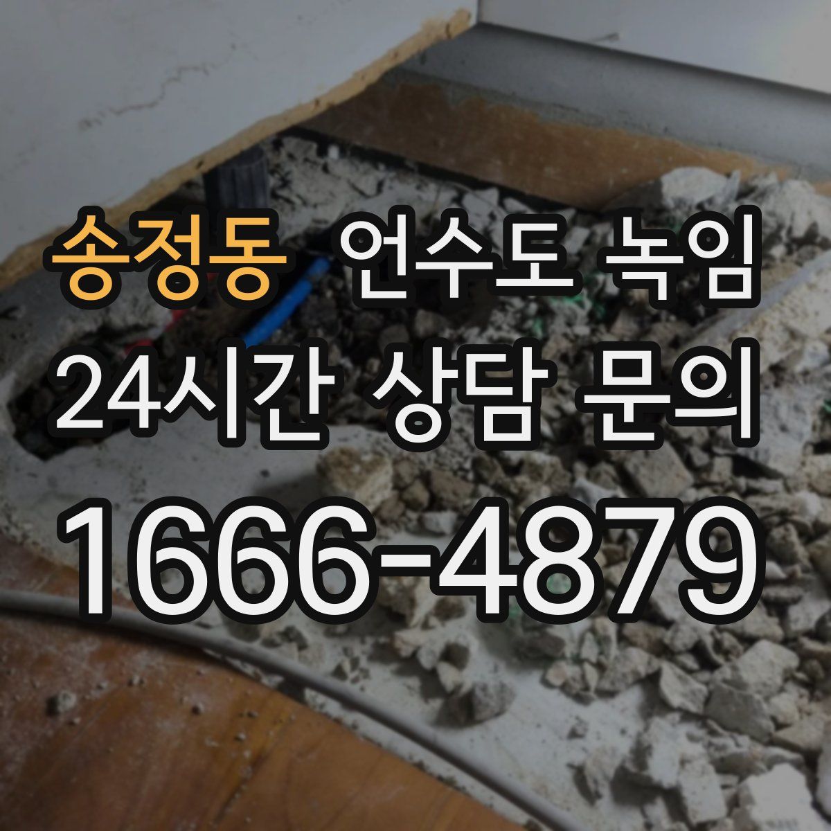 송정동 언수도 녹임