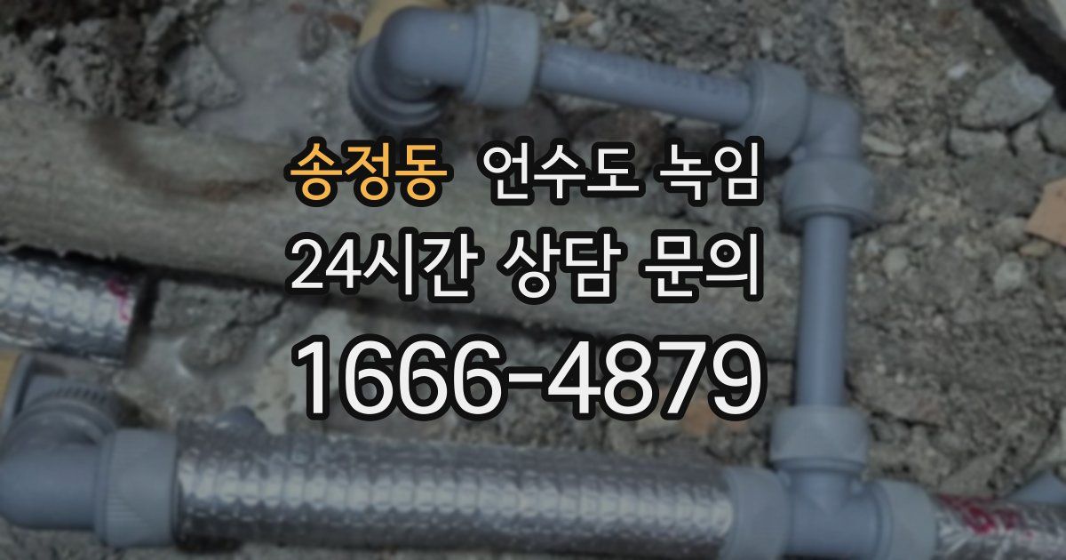 송정동 언수도 녹임