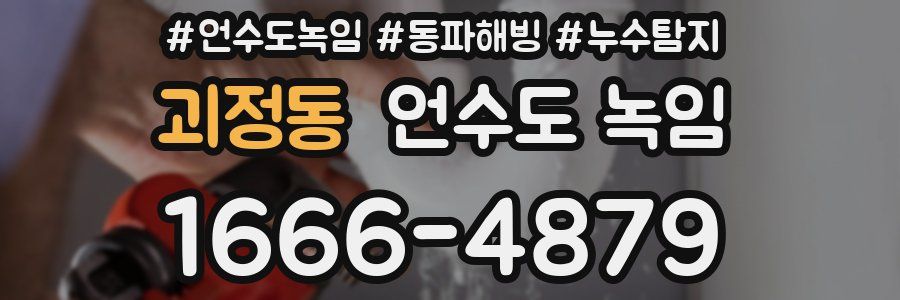 괴정동 언수도 녹임