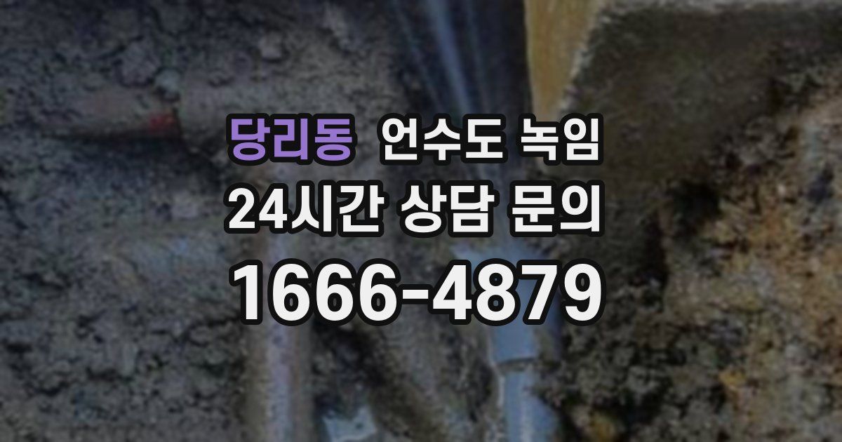 당리동 언수도 녹임