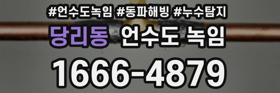 당리동 언수도 녹임