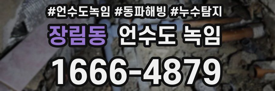 장림동 언수도 녹임