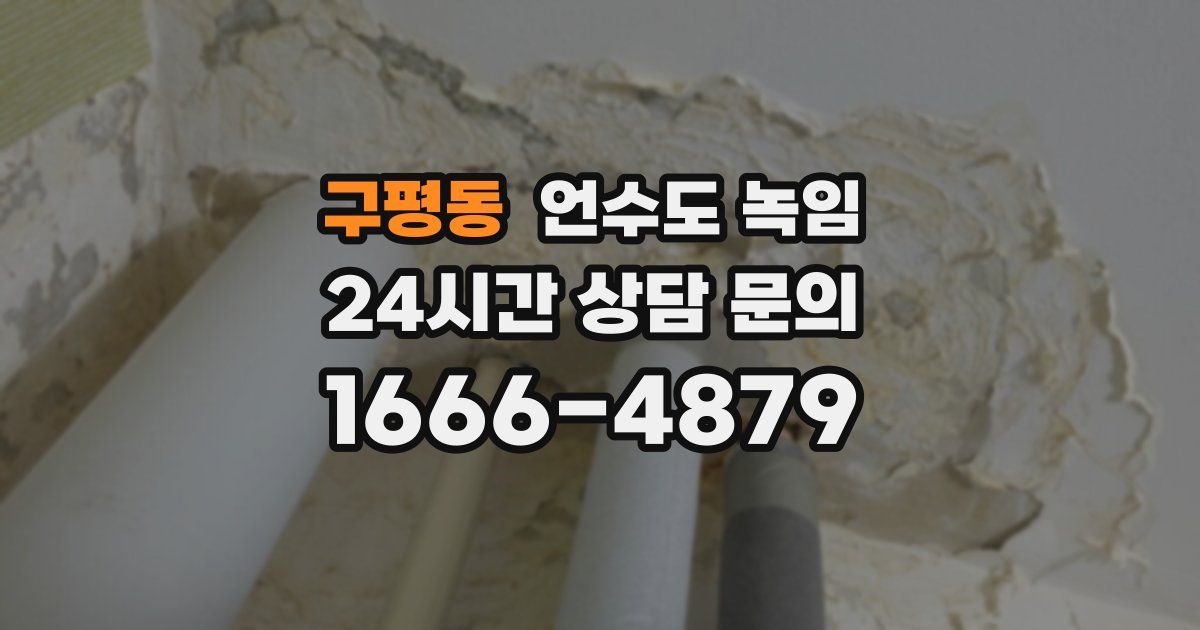 구평동 언수도 녹임