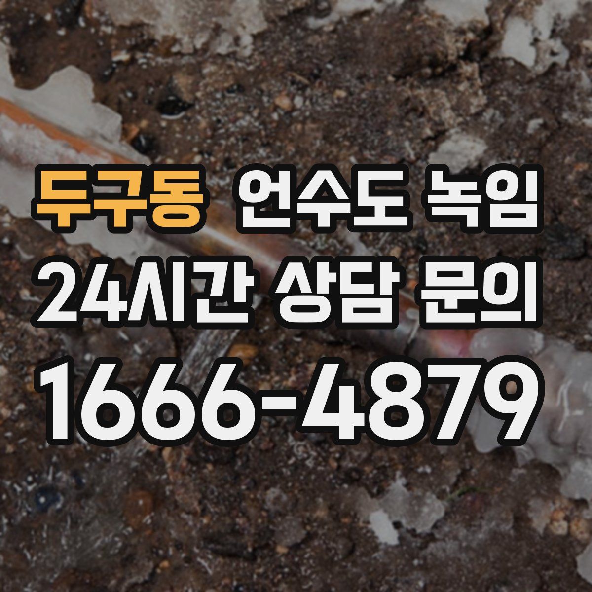 두구동 언수도 녹임