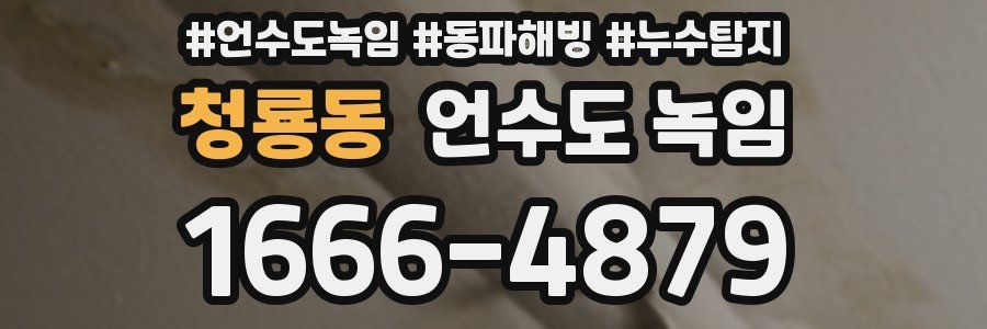 청룡동 언수도 녹임