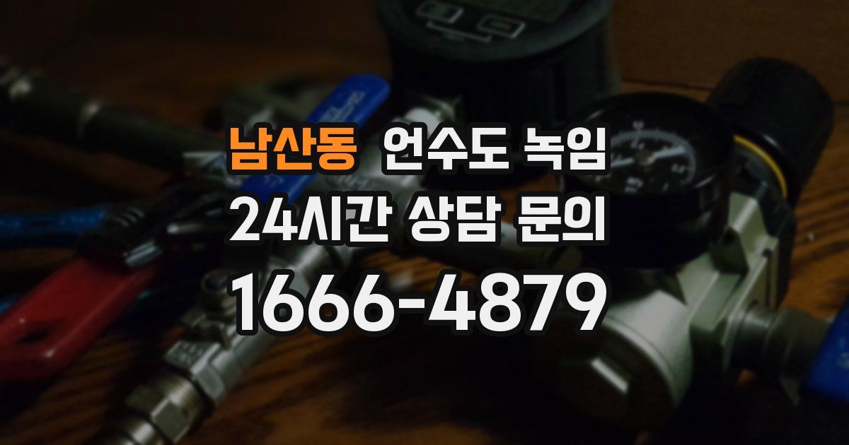 남산동 언수도 녹임