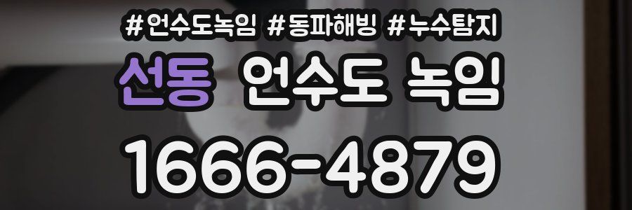 선동 언수도 녹임