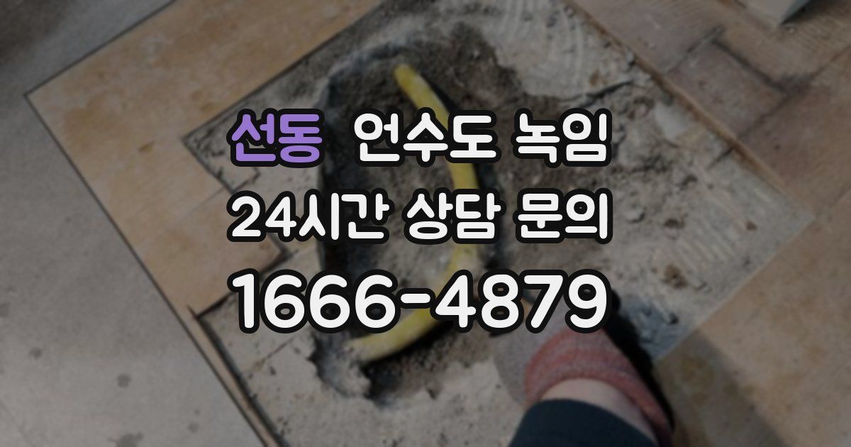 선동 언수도 녹임