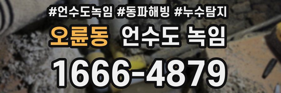 오륜동 언수도 녹임