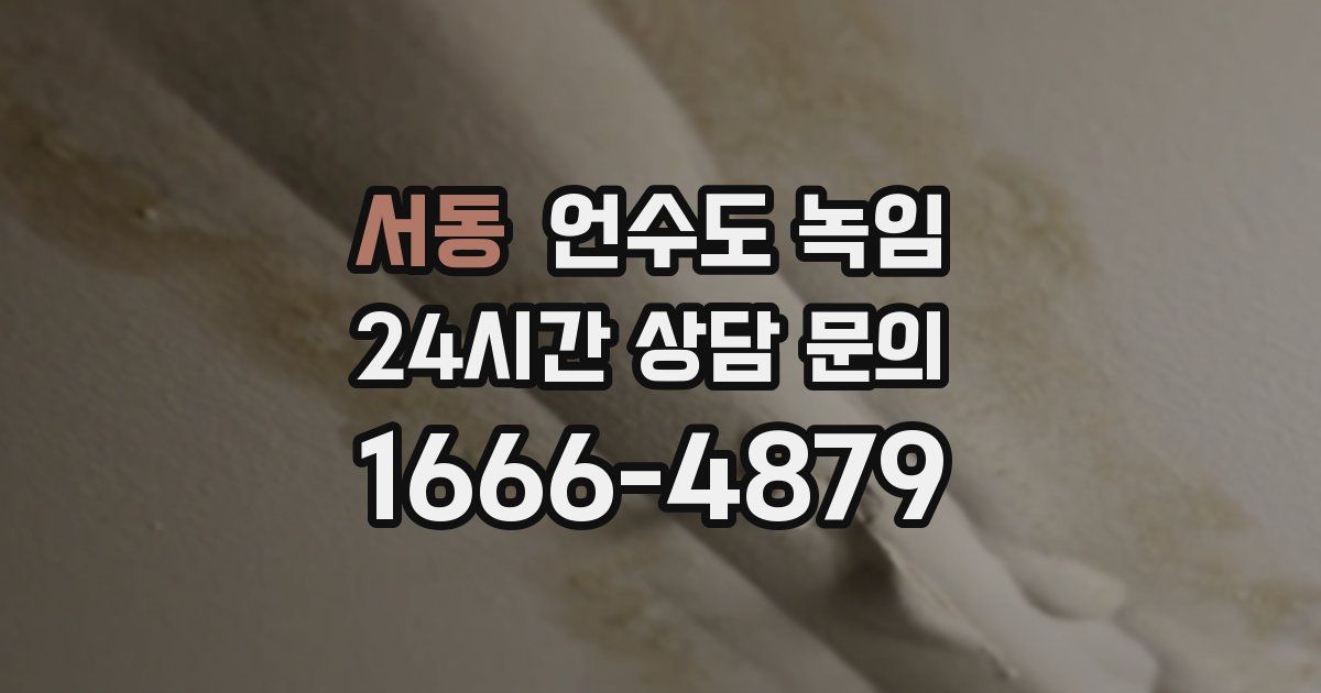 서동 언수도 녹임