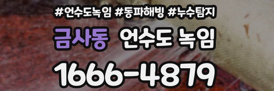 금사동 언수도 녹임