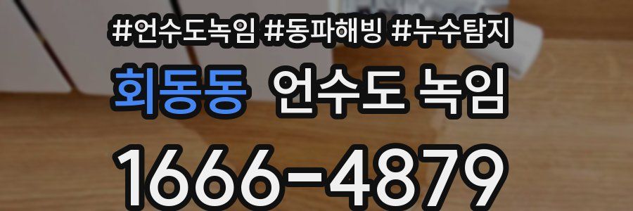 회동동 언수도 녹임