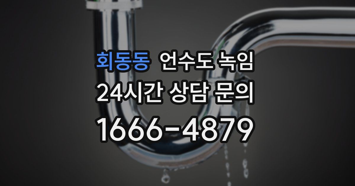 회동동 언수도 녹임