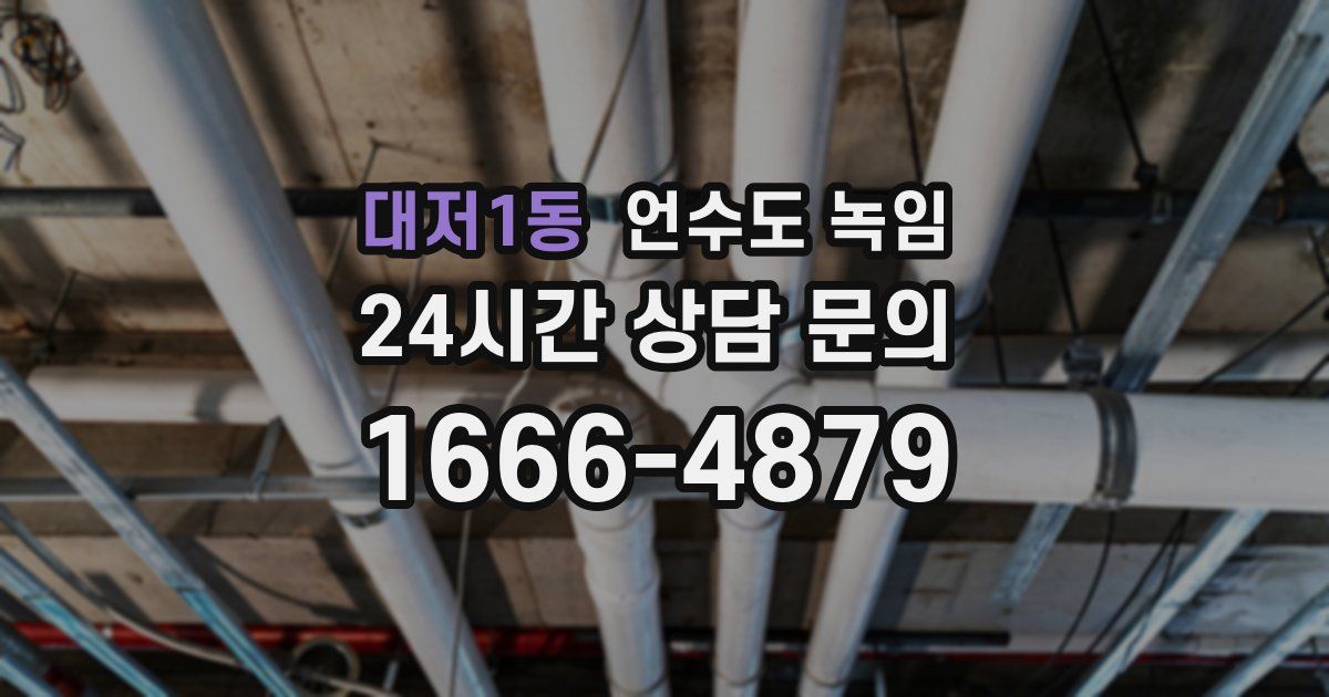 대저1동 언수도 녹임