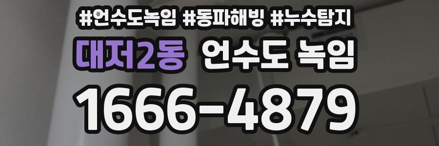대저2동 언수도 녹임