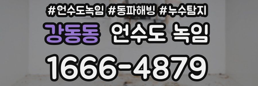 강동동 언수도 녹임