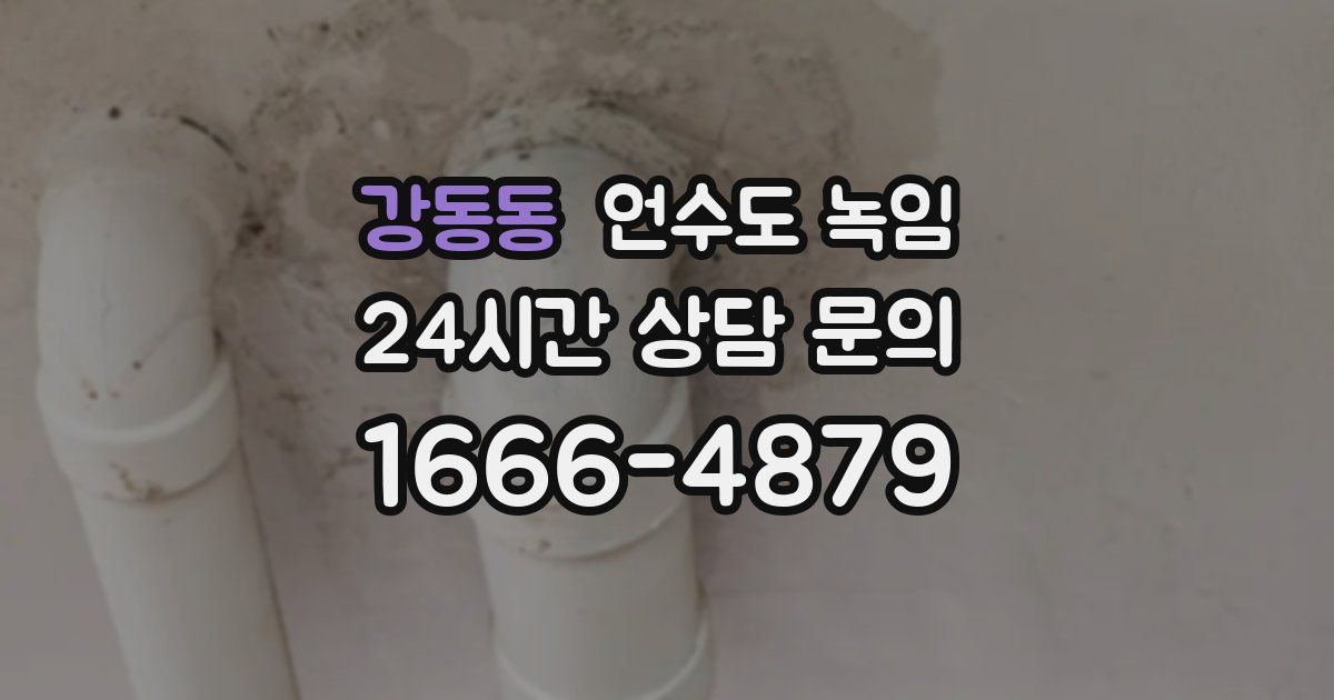 강동동 언수도 녹임