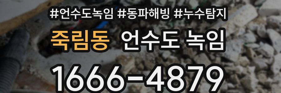 죽림동 언수도 녹임