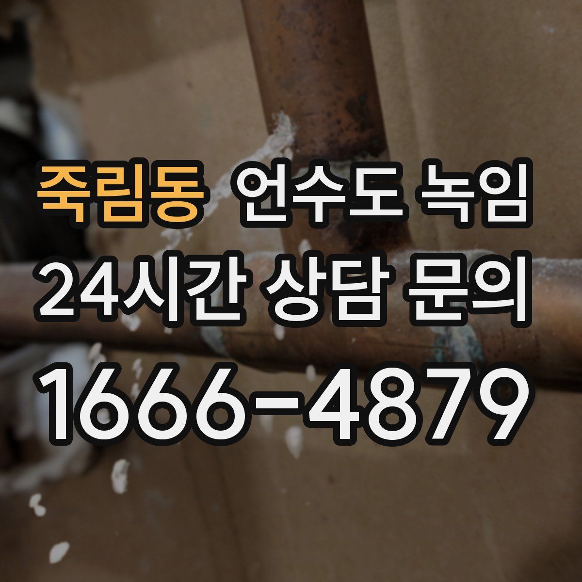 죽림동 언수도 녹임