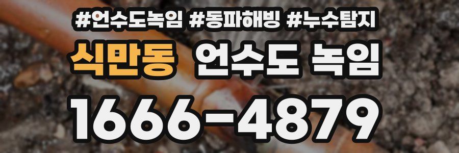 식만동 언수도 녹임