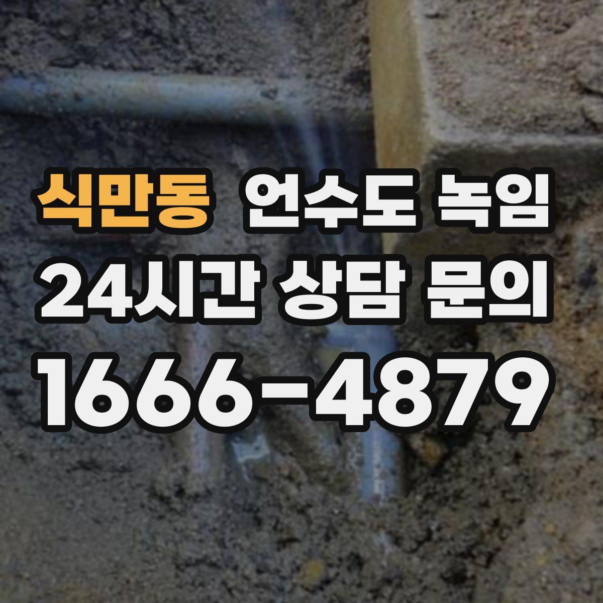 식만동 언수도 녹임