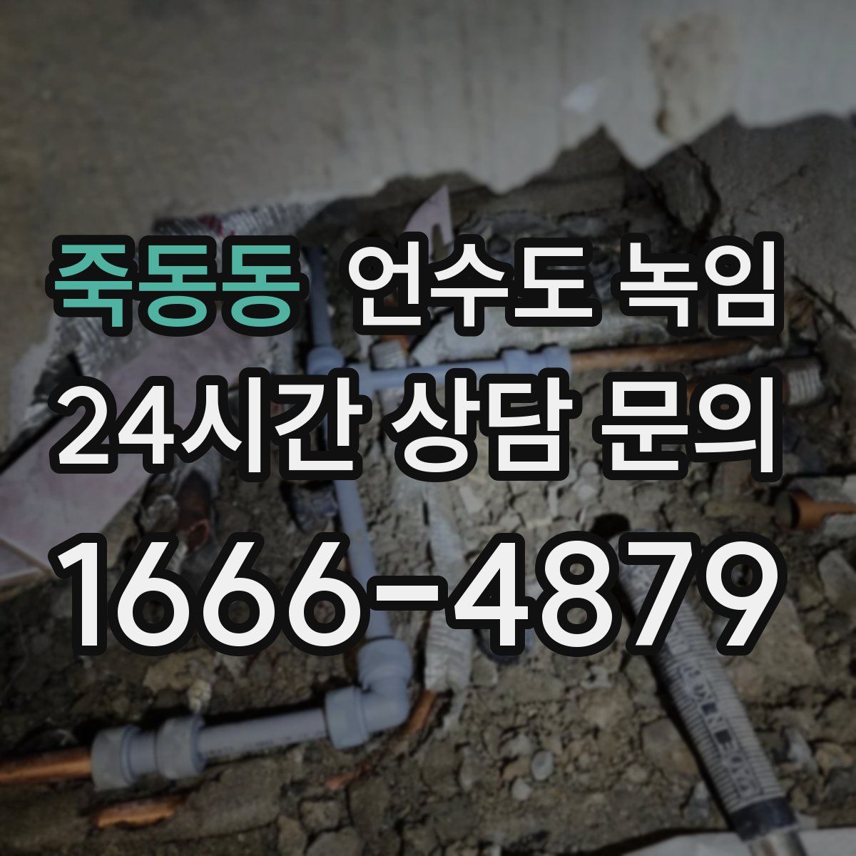 죽동동 언수도 녹임