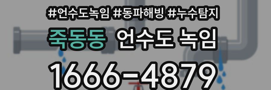 죽동동 언수도 녹임