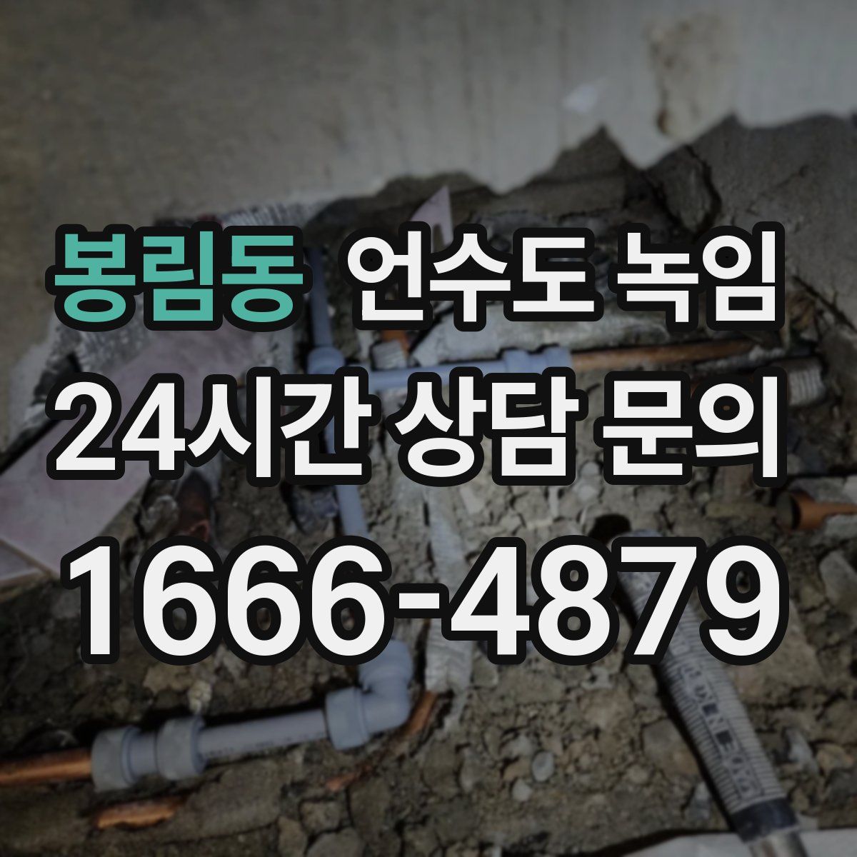 봉림동 언수도 녹임