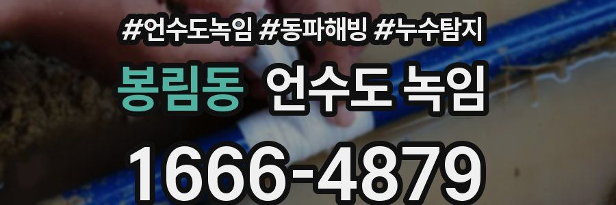 봉림동 언수도 녹임