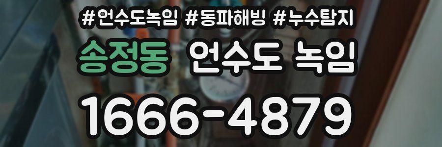 송정동 언수도 녹임