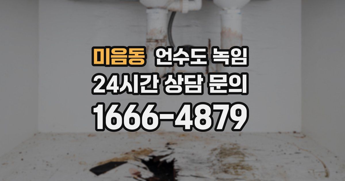 미음동 언수도 녹임