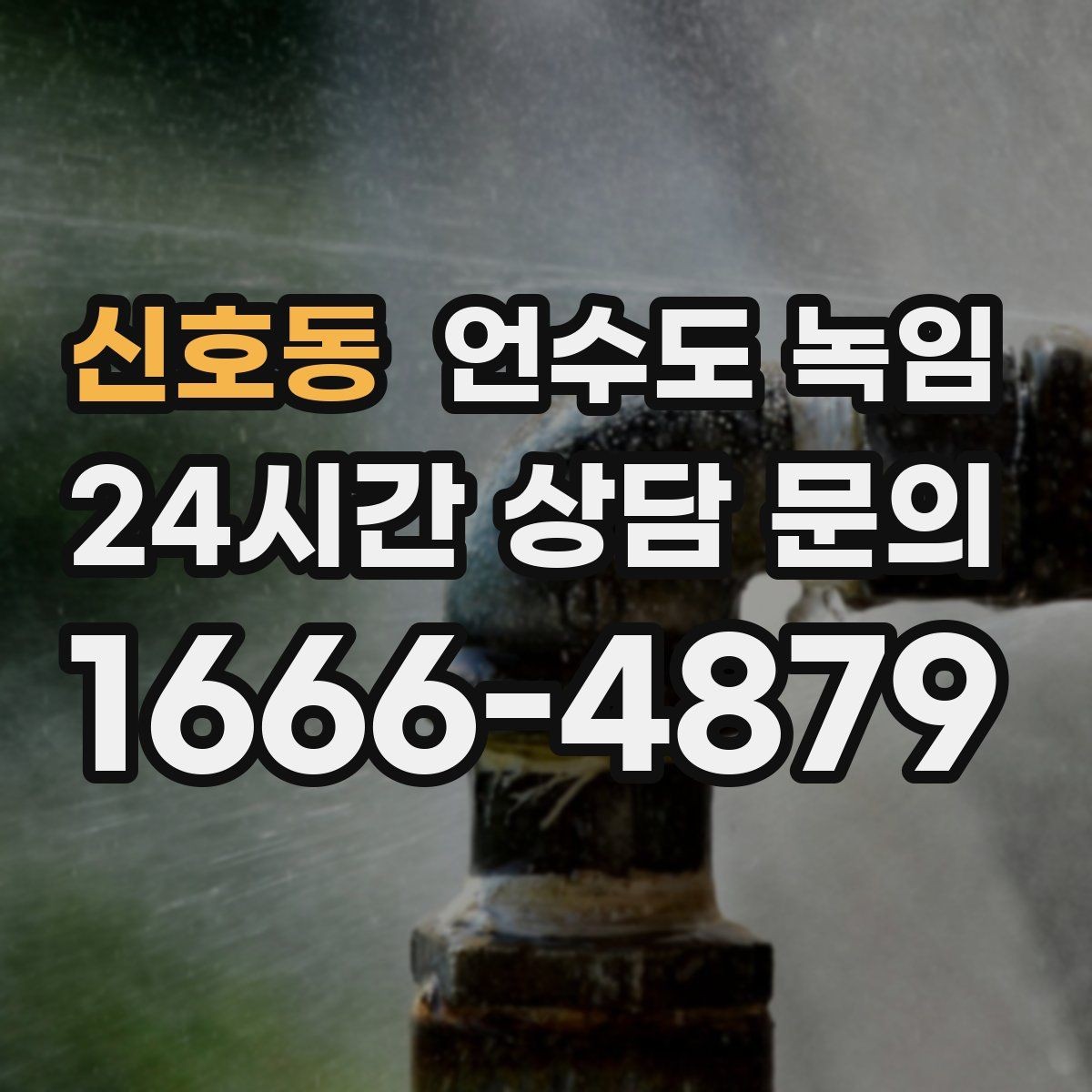 신호동 언수도 녹임 물 조금 흘려두기 기준을 현실적으로 정리