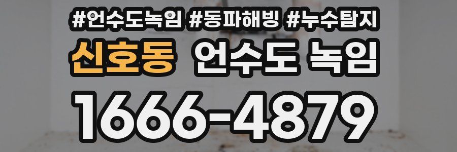 신호동 언수도 녹임