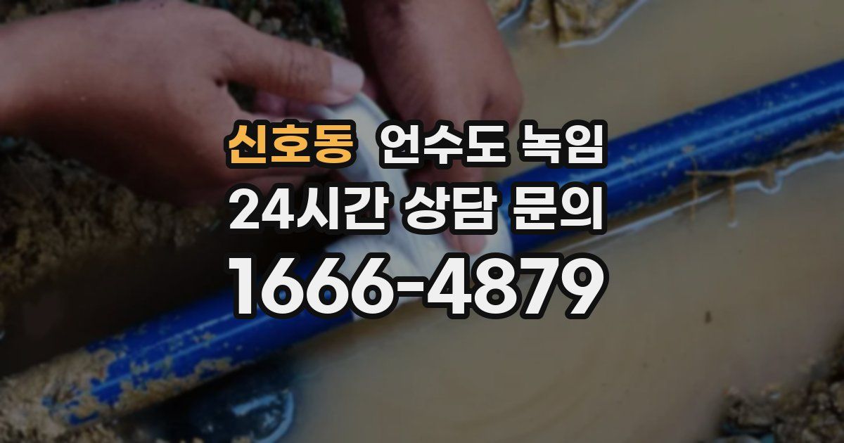 신호동 언수도 녹임
