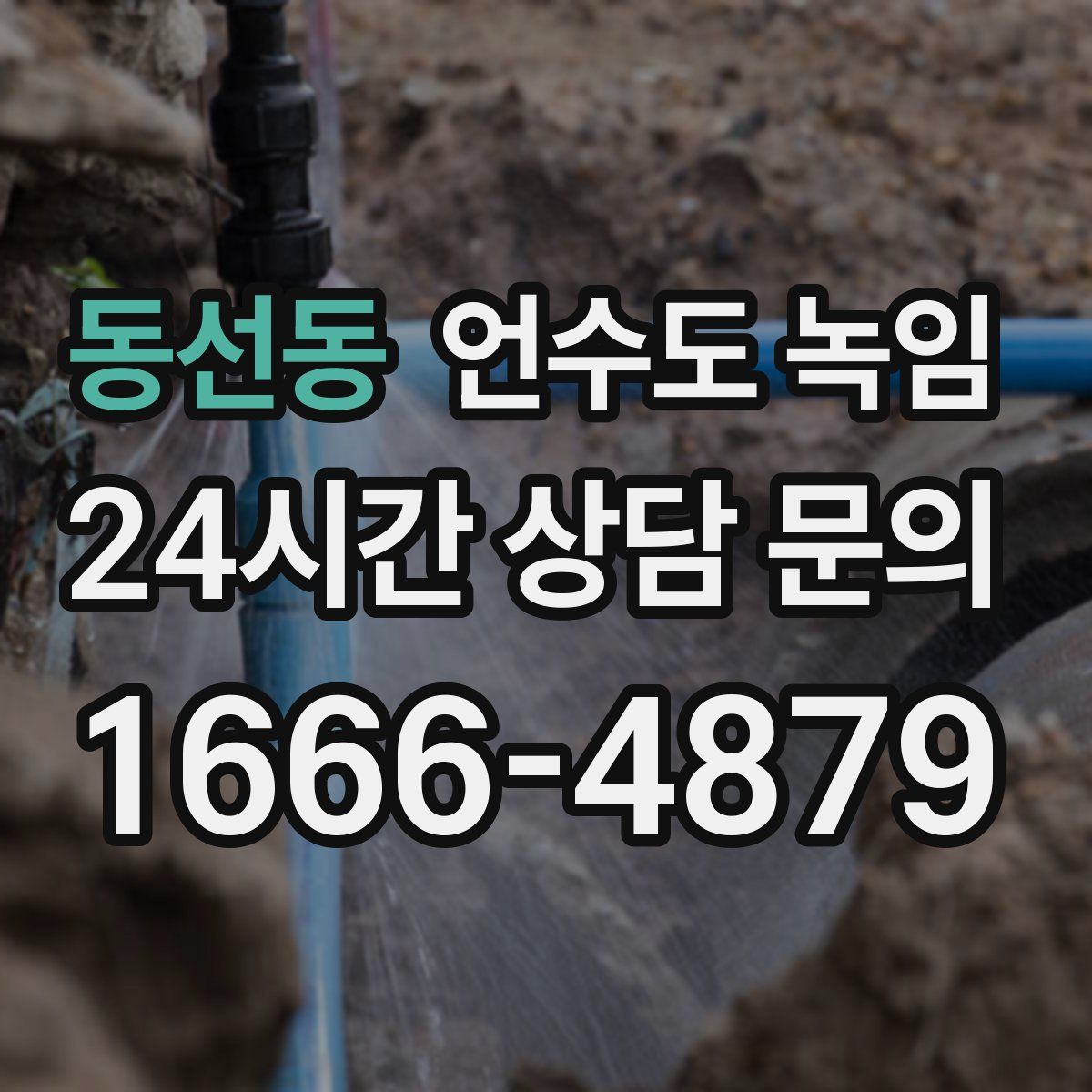 동선동 언수도 녹임