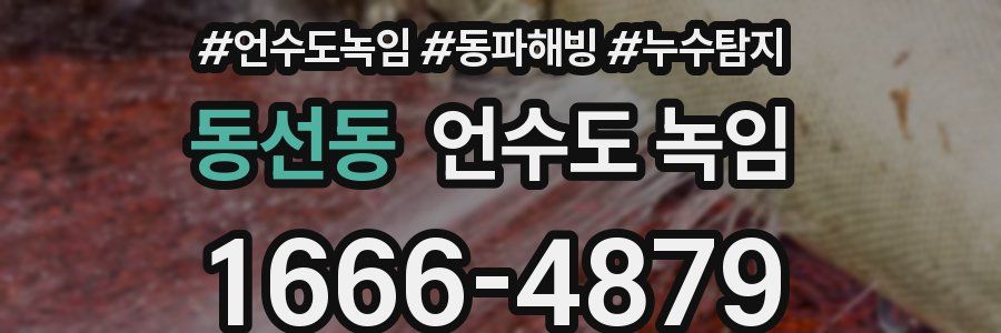 동선동 언수도 녹임