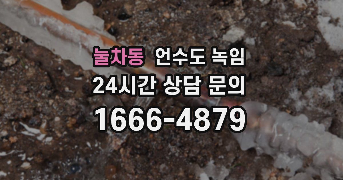 눌차동 언수도 녹임