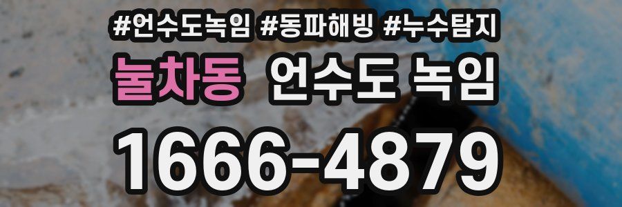 눌차동 언수도 녹임