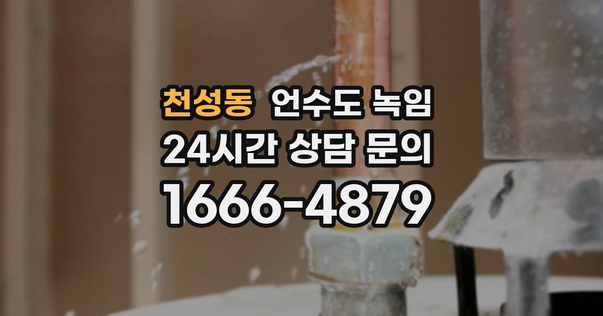 천성동 언수도 녹임