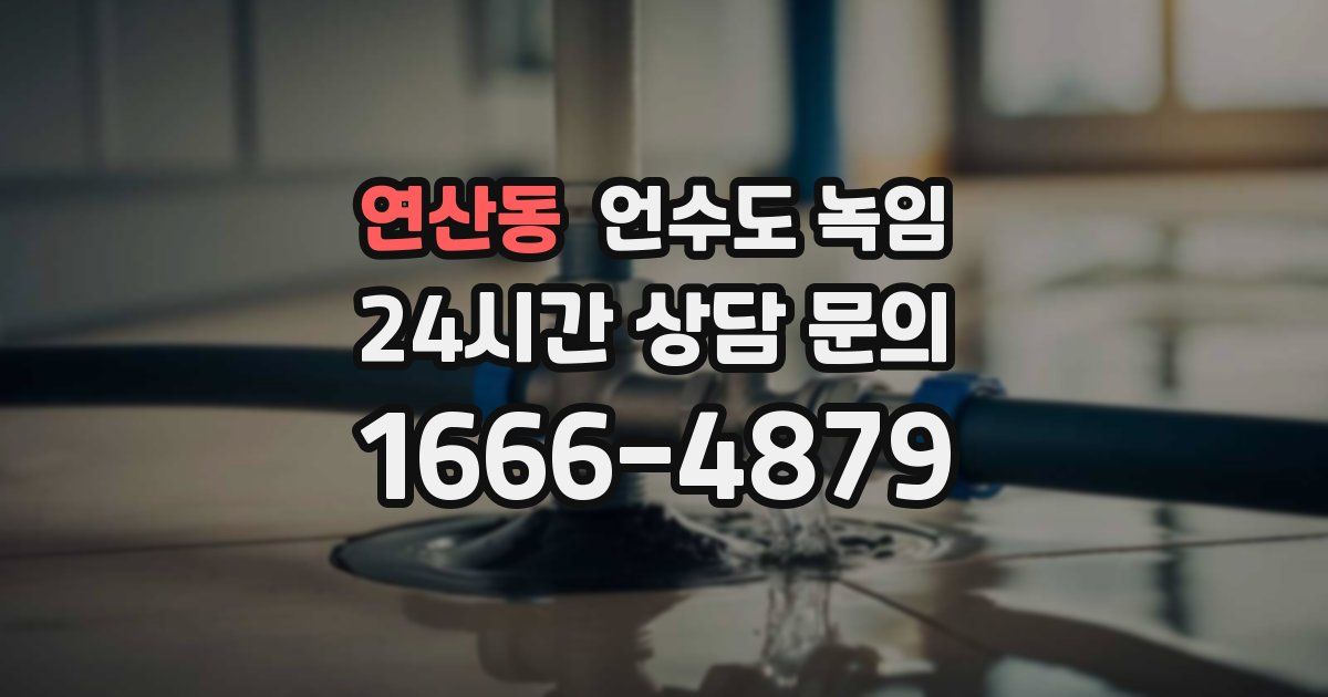 연산동 언수도 녹임