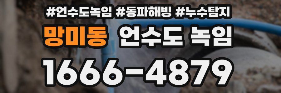 망미동 언수도 녹임