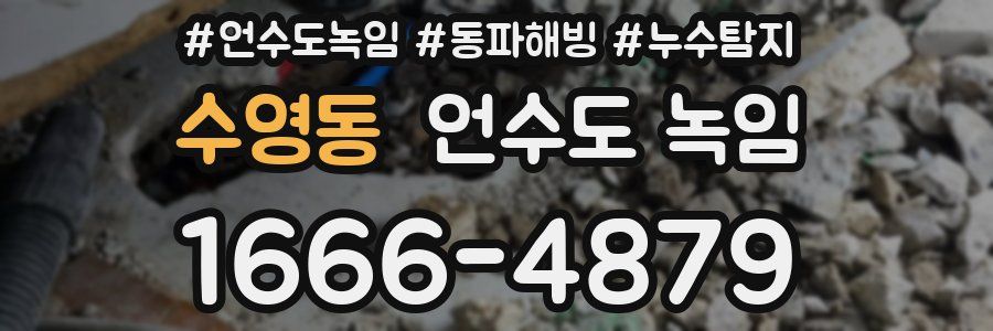 수영동 언수도 녹임