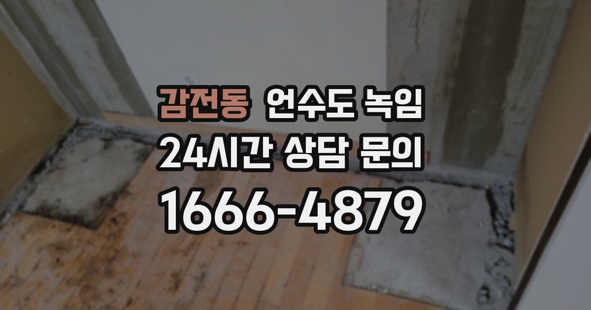 감전동 언수도 녹임