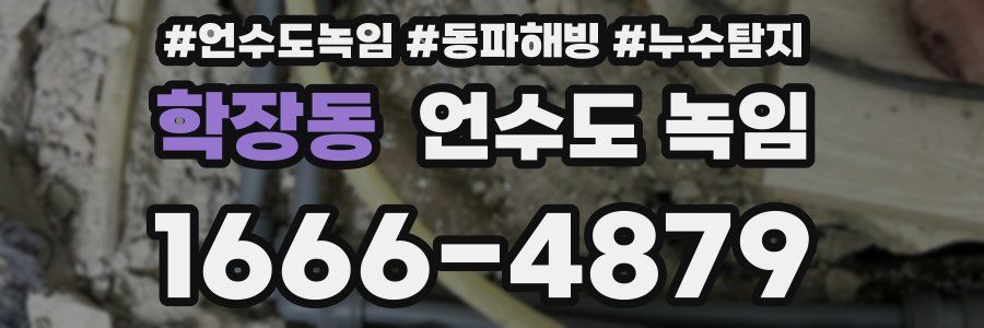 학장동 언수도 녹임