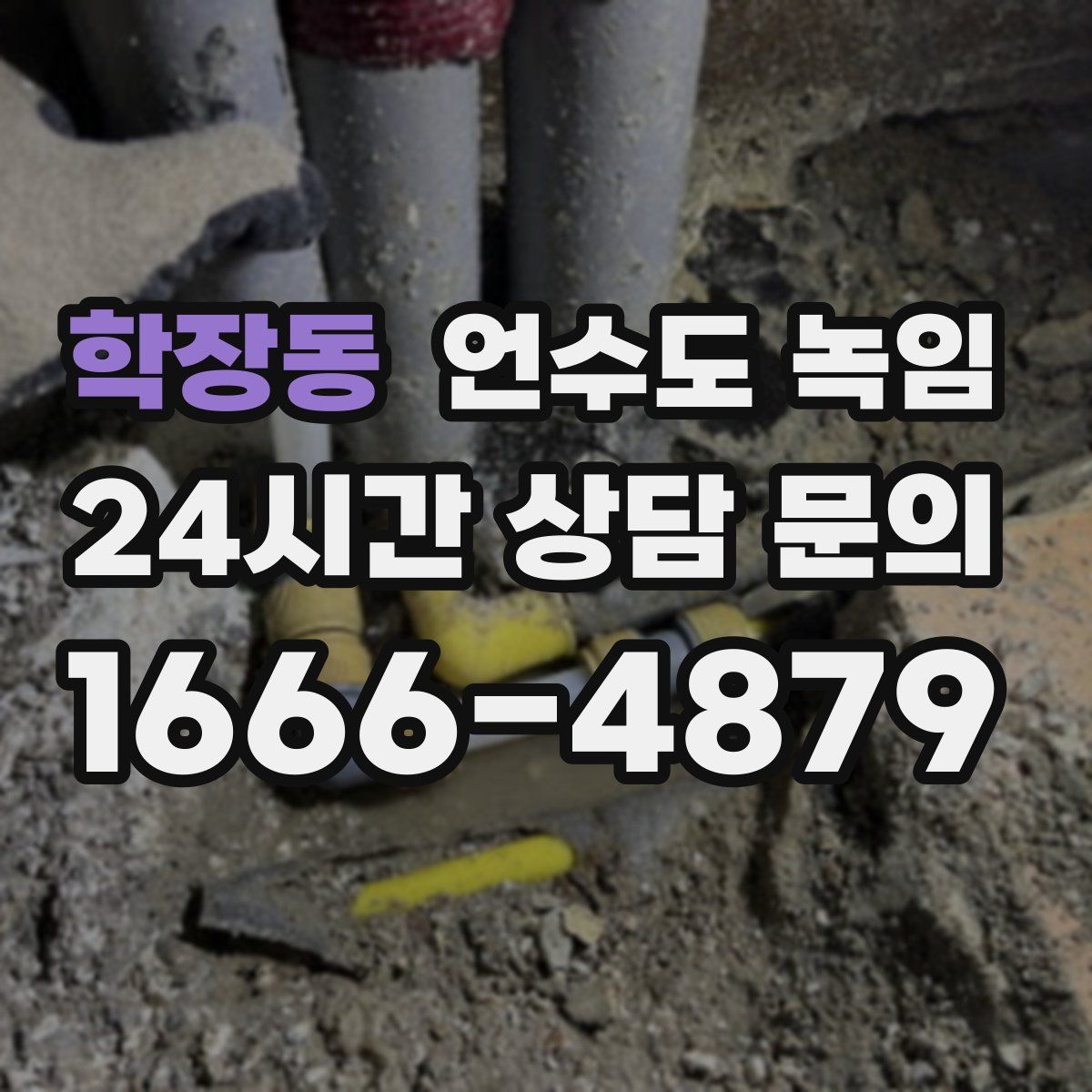 학장동 언수도 녹임