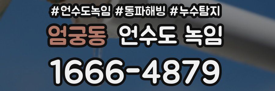 엄궁동 언수도 녹임