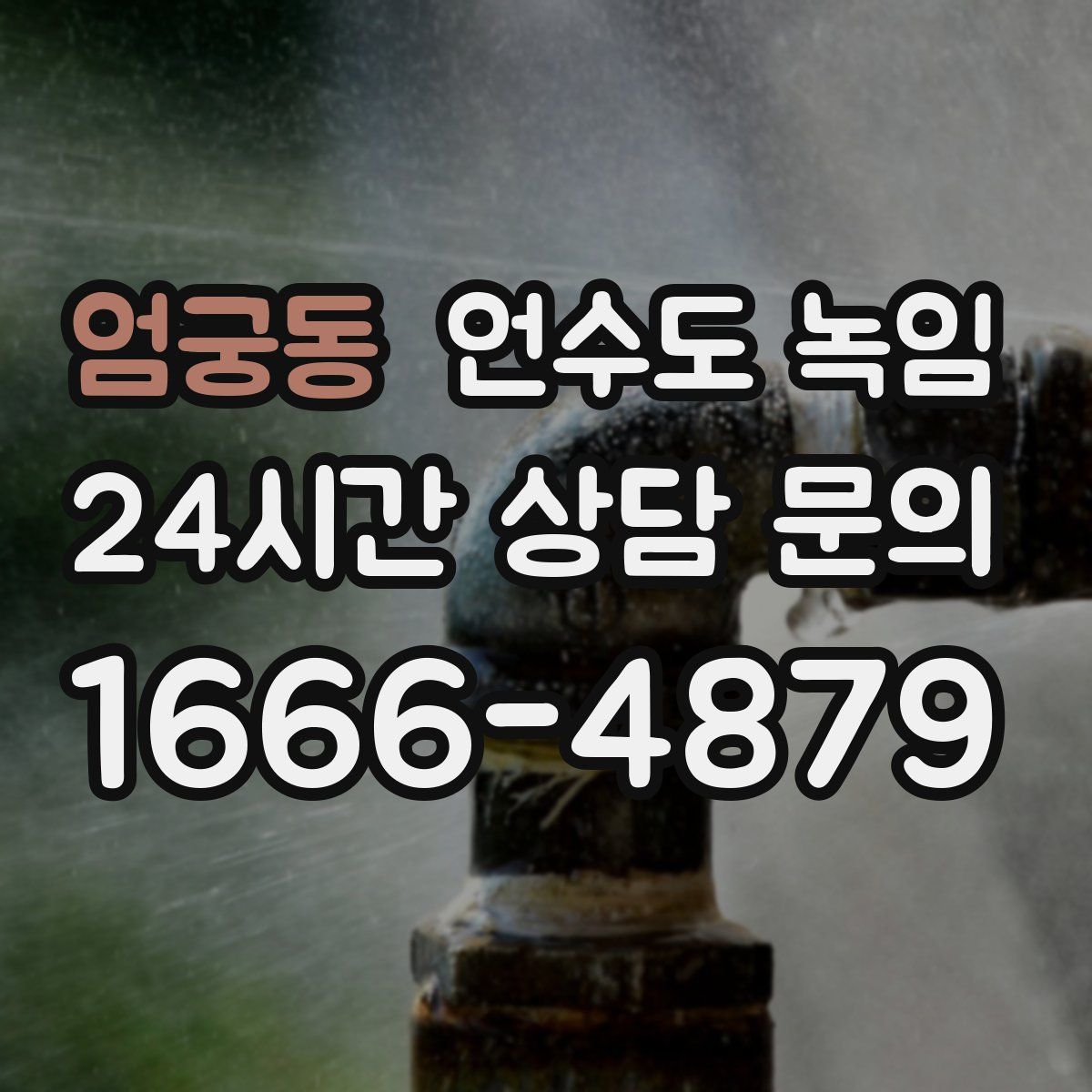 엄궁동 언수도 녹임