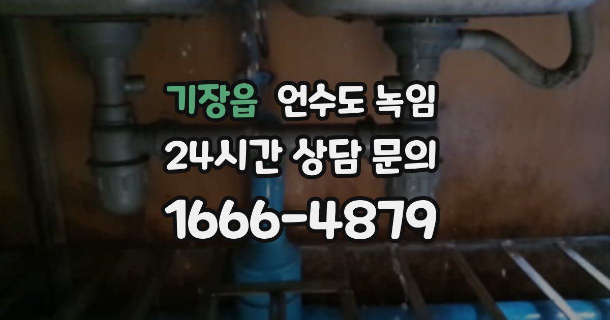 기장읍 언수도 녹임