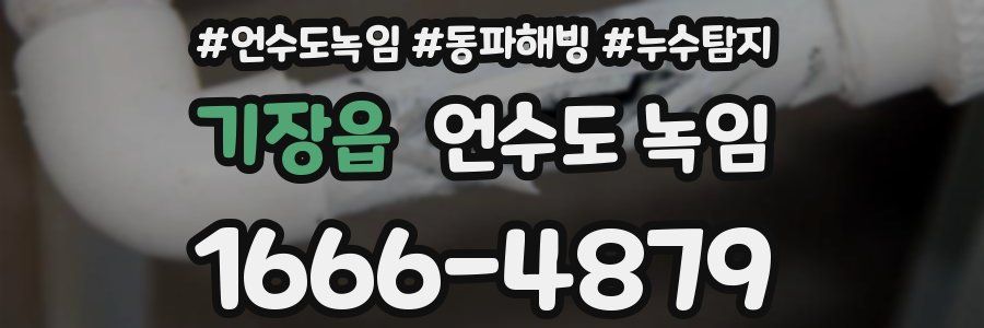 기장읍 언수도 녹임